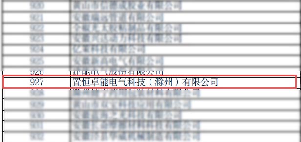 置恒卓能電氣科技(滁州)有限公司被認定為2023年度安徽省“專精特新”企業(yè) 置恒卓能電氣科技(滁州)有限公司被認定為2023年度安徽省“專精特新”企業(yè)(圖2)